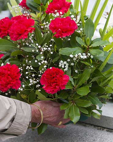 assortiments de fleurs